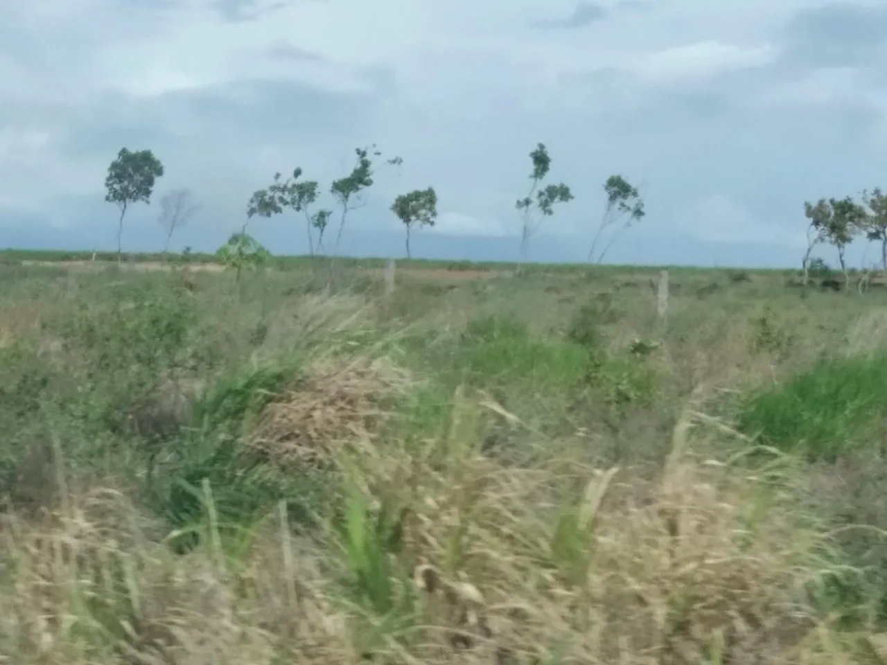 Fazenda à venda de 305 ha em Cantá, RR, Brasil