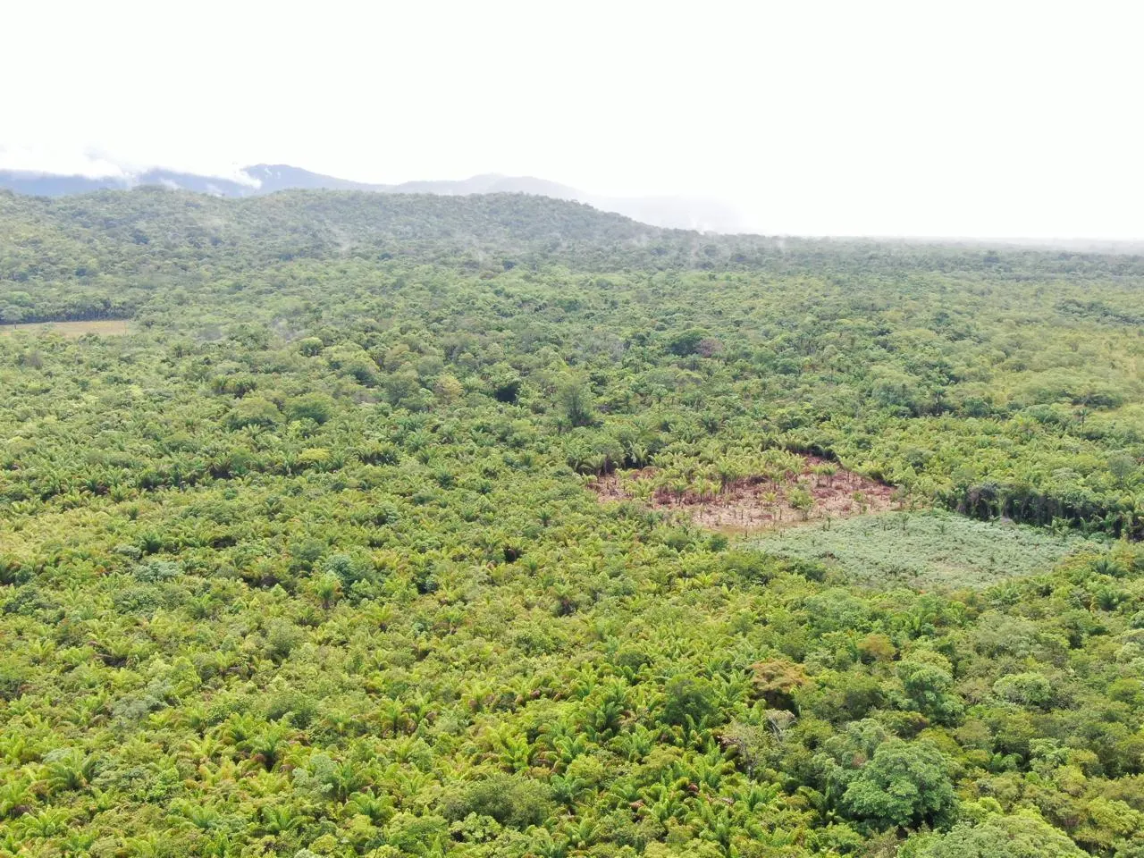 Fazenda à venda de 305 ha em Cantá, RR, Brasil