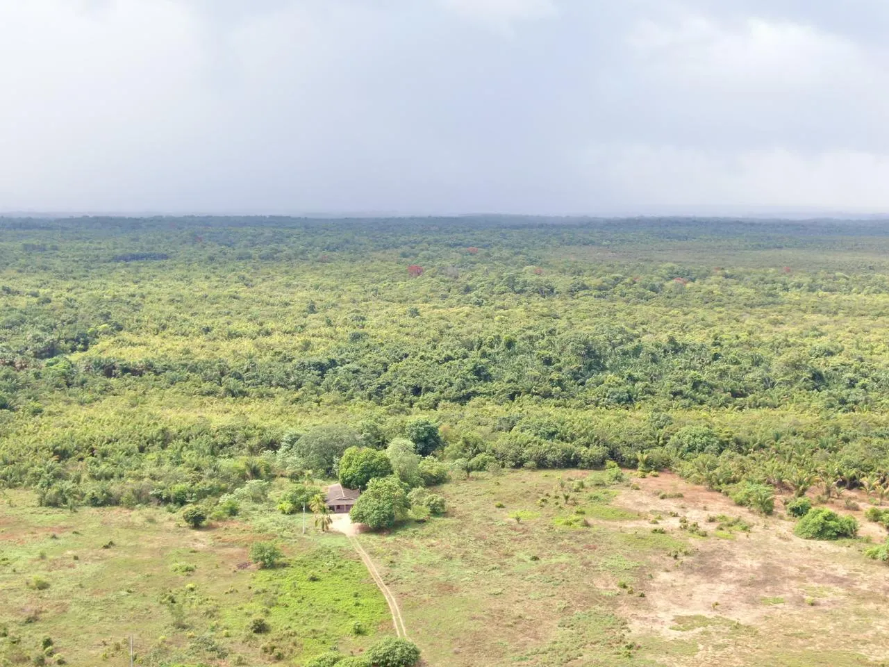 Fazenda à venda de 305 ha em Cantá, RR, Brasil