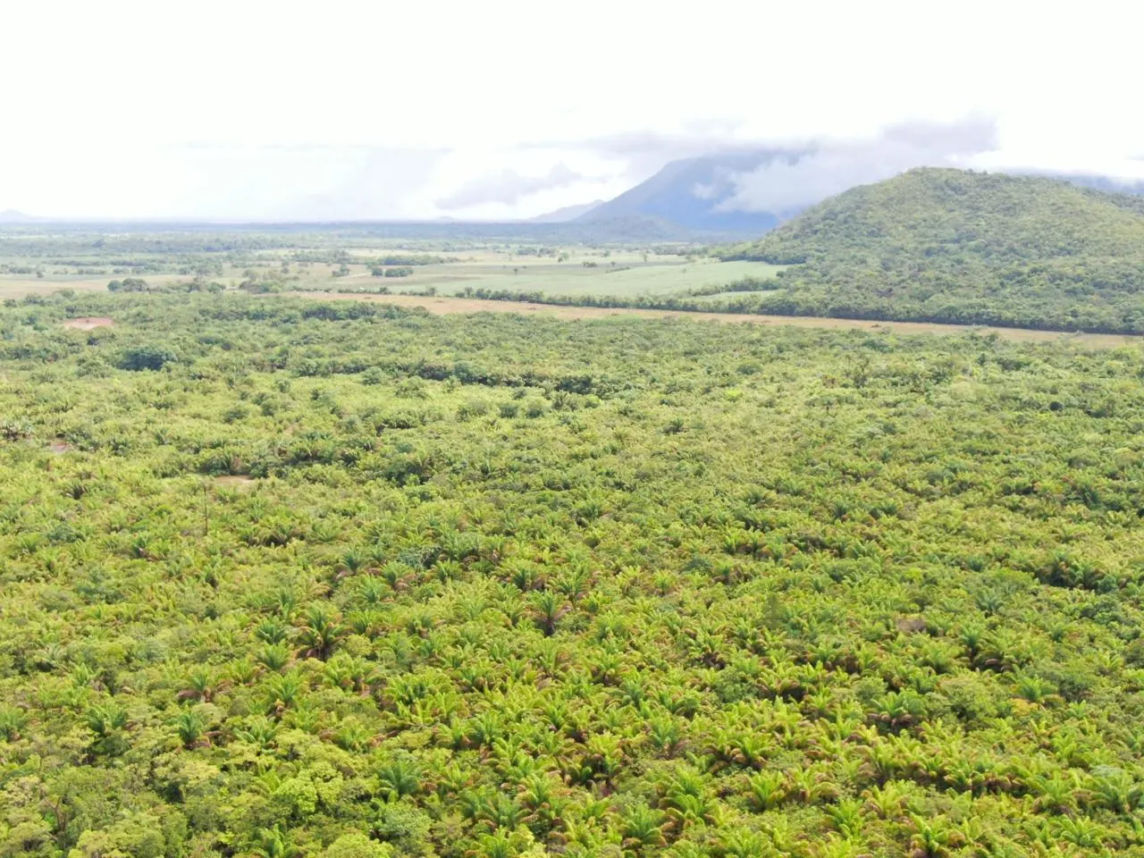 Fazenda à venda de 305 ha em Cantá, RR, Brasil
