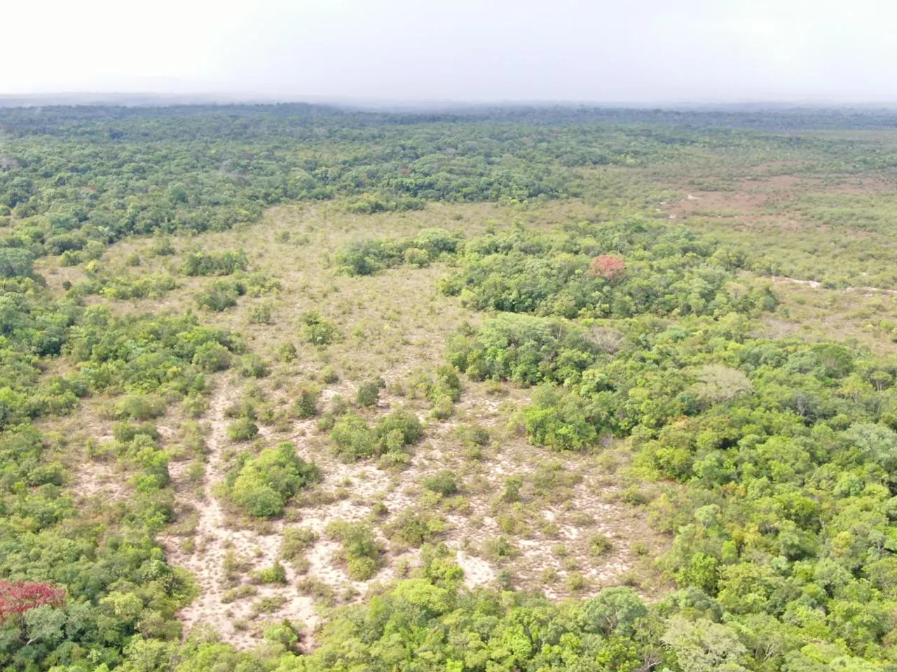 Fazenda à venda de 305 ha em Cantá, RR, Brasil