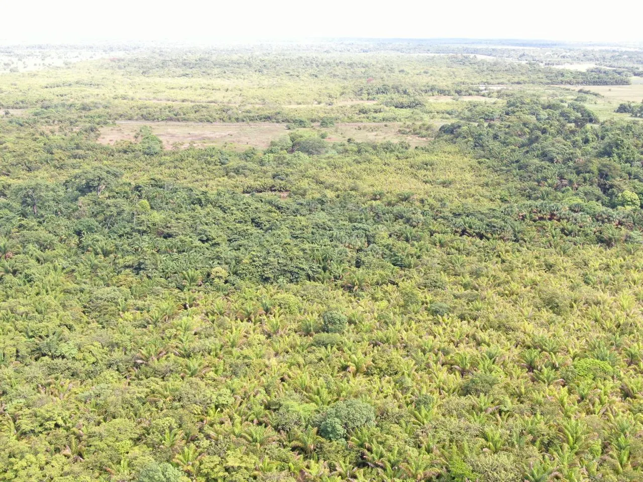 Fazenda à venda de 305 ha em Cantá, RR, Brasil
