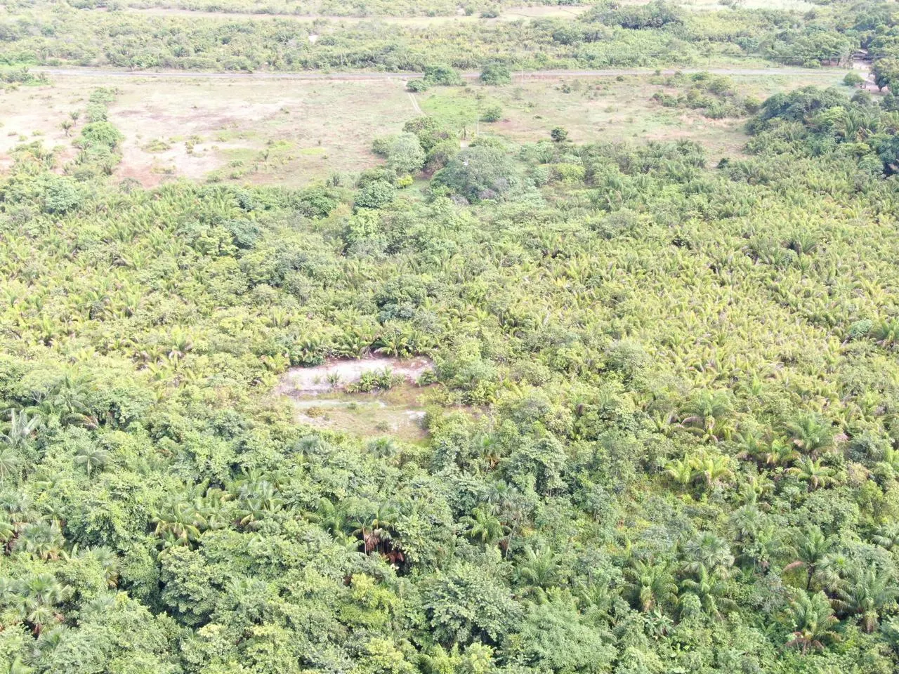 Fazenda à venda de 305 ha em Cantá, RR, Brasil