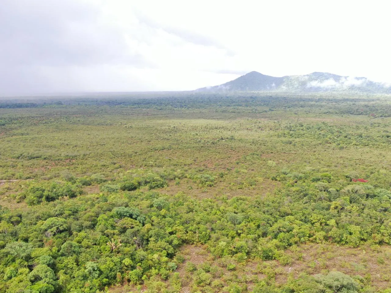 Fazenda à venda de 305 ha em Cantá, RR, Brasil