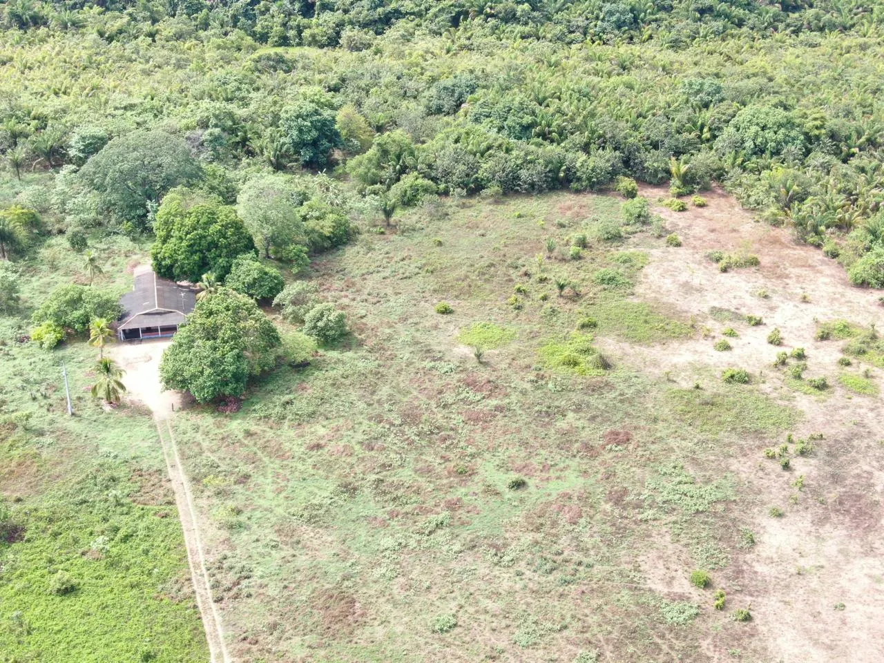 Fazenda à venda de 305 ha em Cantá, RR, Brasil