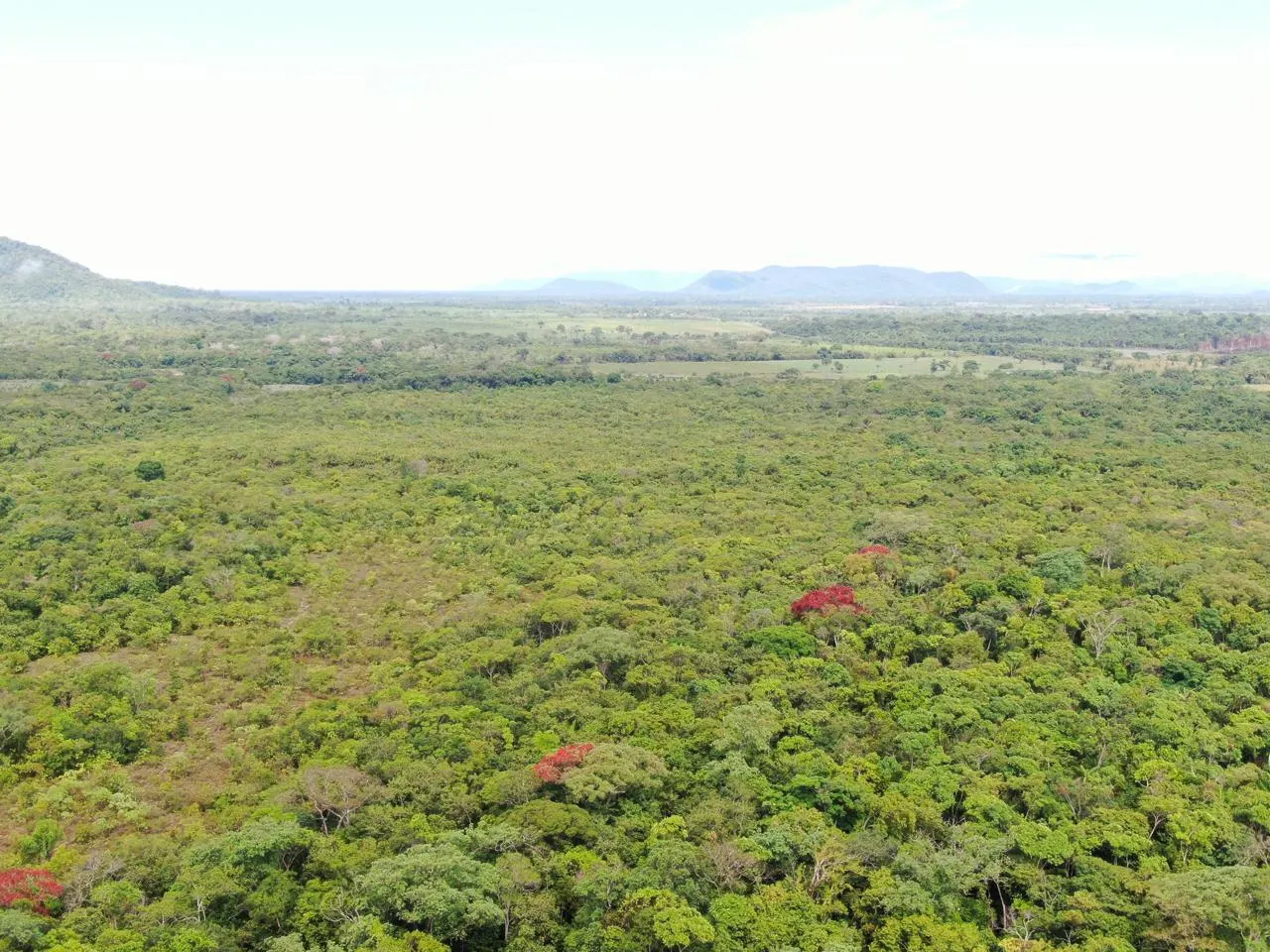 Fazenda à venda de 305 ha em Cantá, RR, Brasil