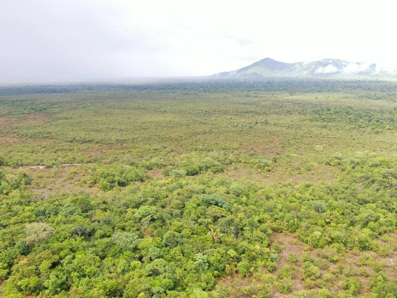 Fazenda à venda de 305 ha em Cantá, RR, Brasil