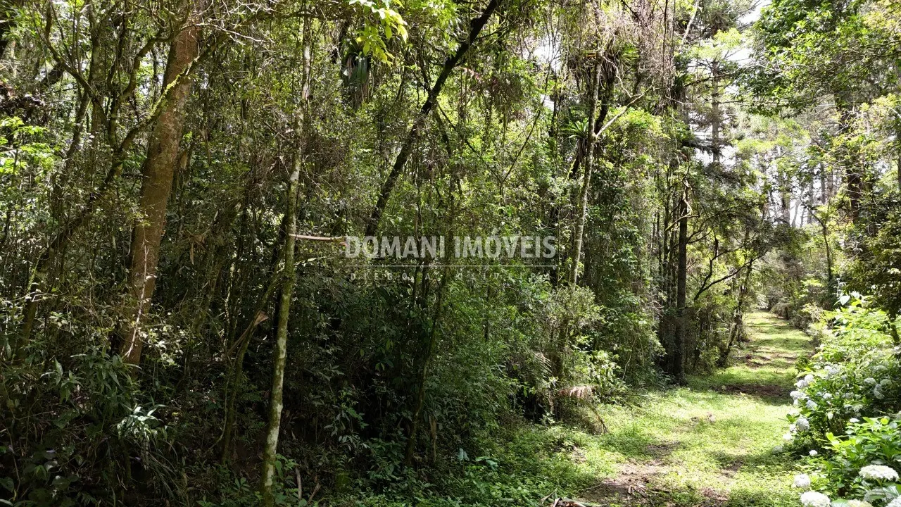 Terreno à venda de 1 ha em Campos do Jordão, SP, Brasil