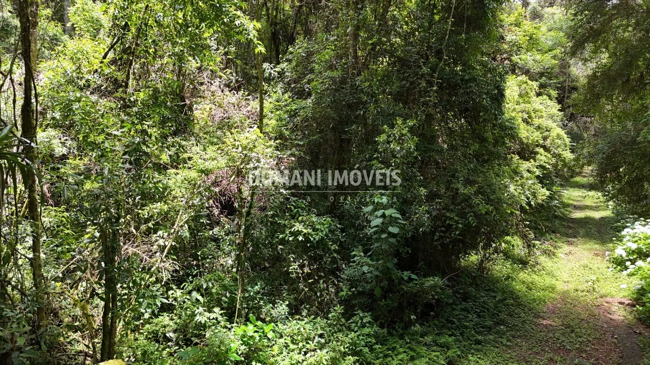 Terreno à venda de 1 ha em Campos do Jordão, SP, Brasil