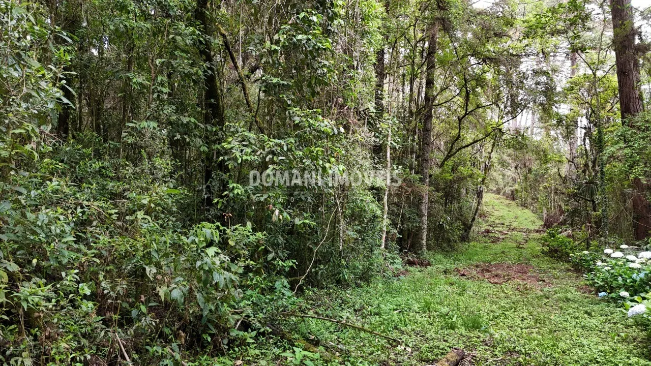 Terreno à venda de 1 ha em Campos do Jordão, SP, Brasil