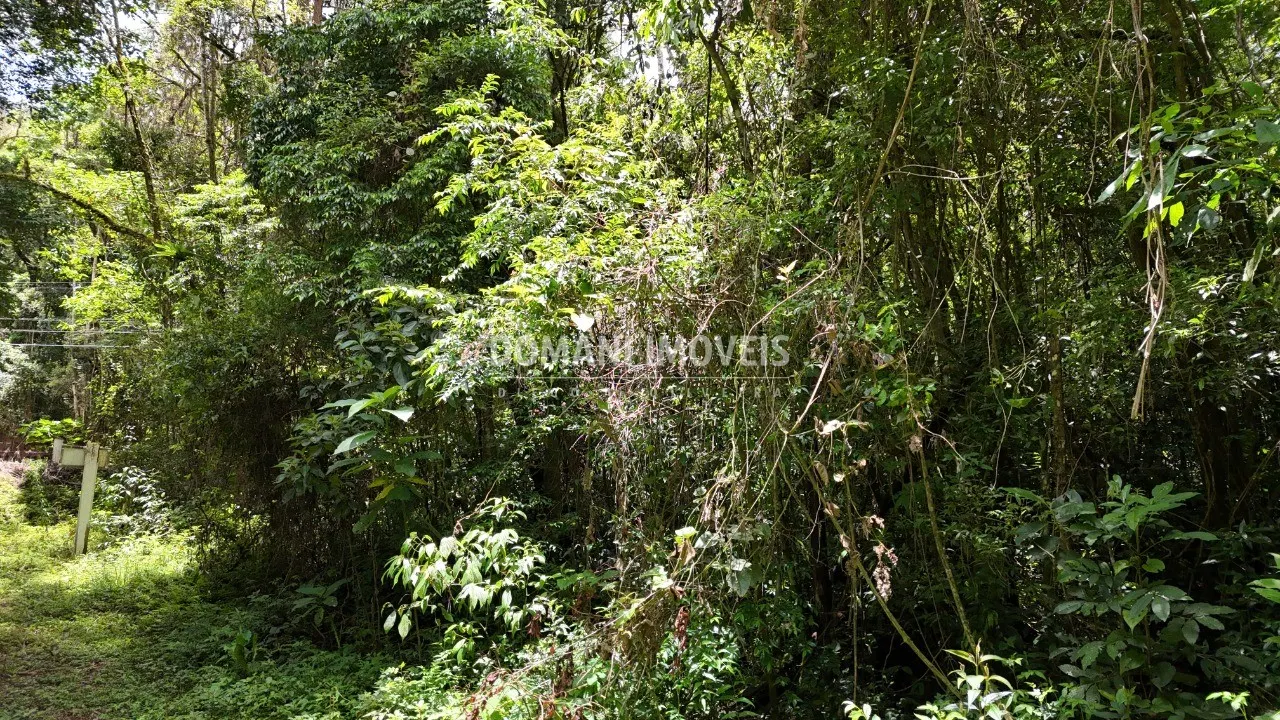 Terreno à venda de 1 ha em Campos do Jordão, SP, Brasil