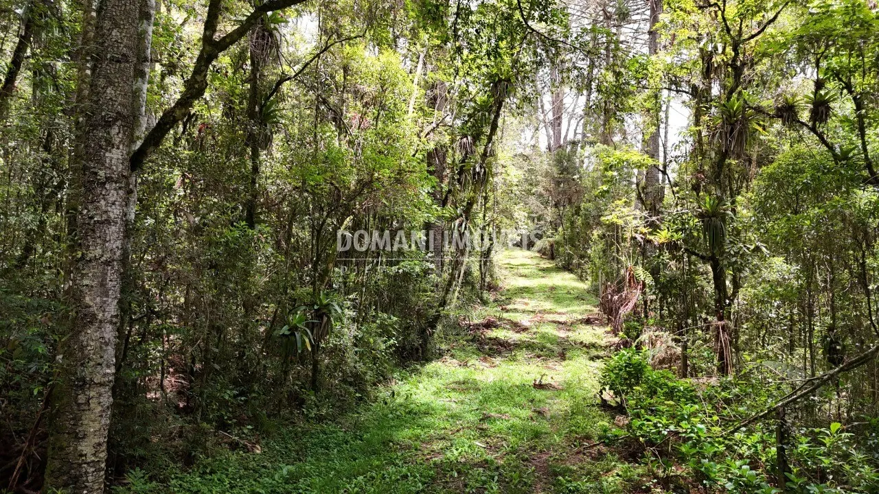 Terreno à venda de 1 ha em Campos do Jordão, SP, Brasil