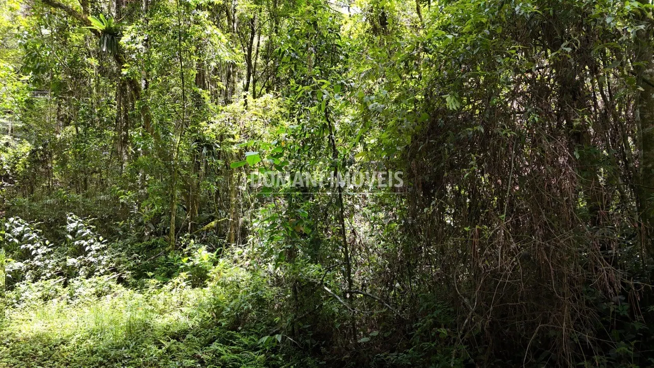 Terreno à venda de 1 ha em Campos do Jordão, SP, Brasil