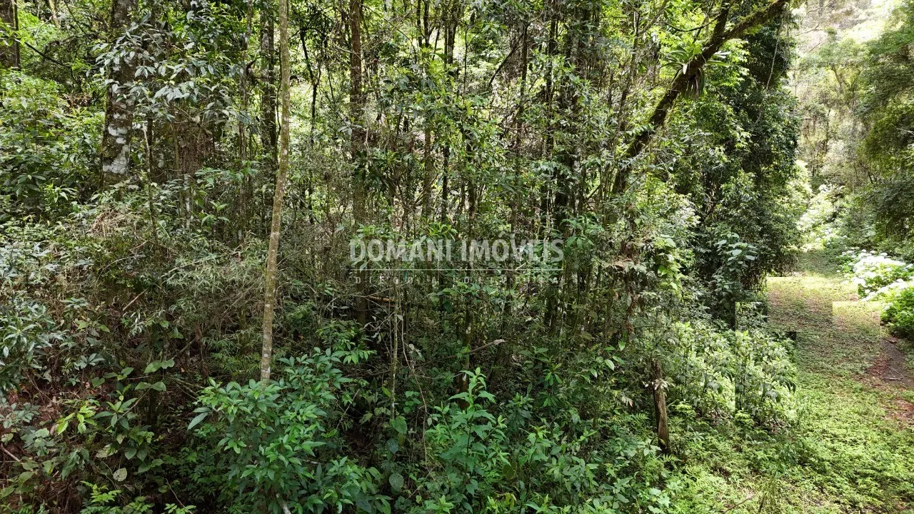 Terreno à venda de 1 ha em Campos do Jordão, SP, Brasil
