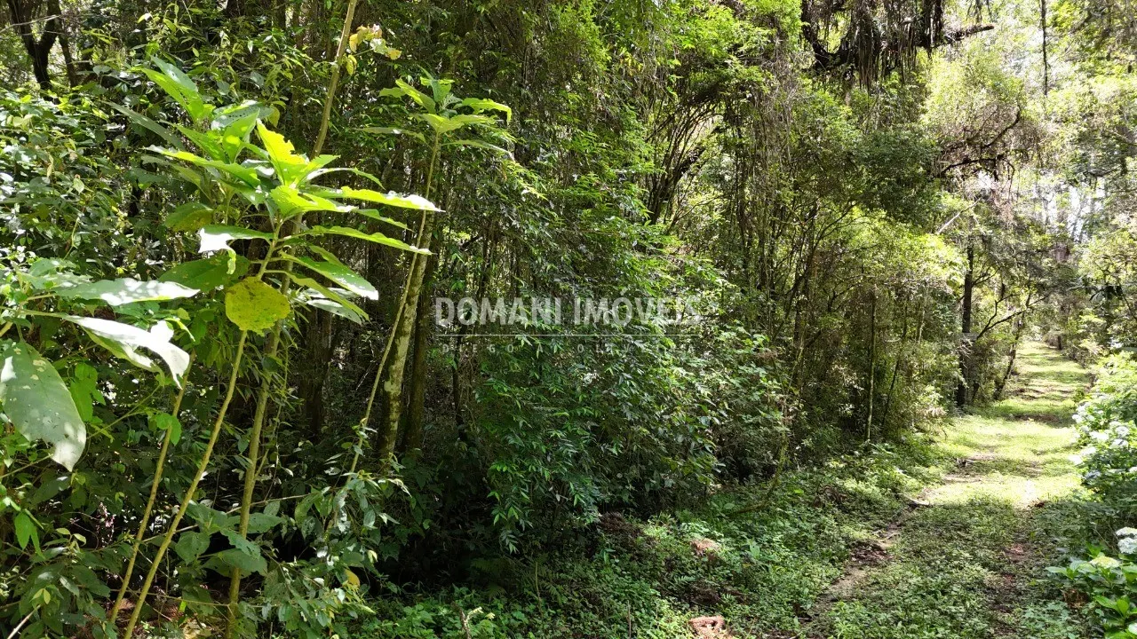 Terreno à venda de 1 ha em Campos do Jordão, SP, Brasil