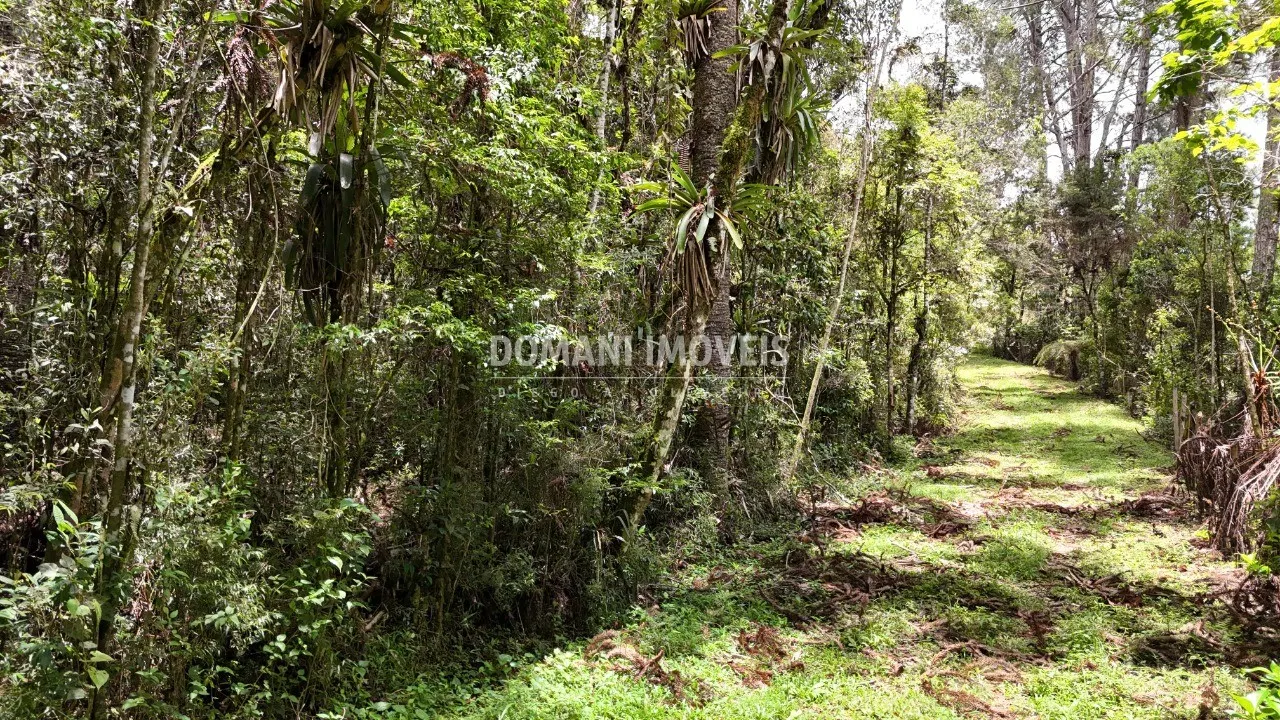 Terreno à venda de 1 ha em Campos do Jordão, SP, Brasil