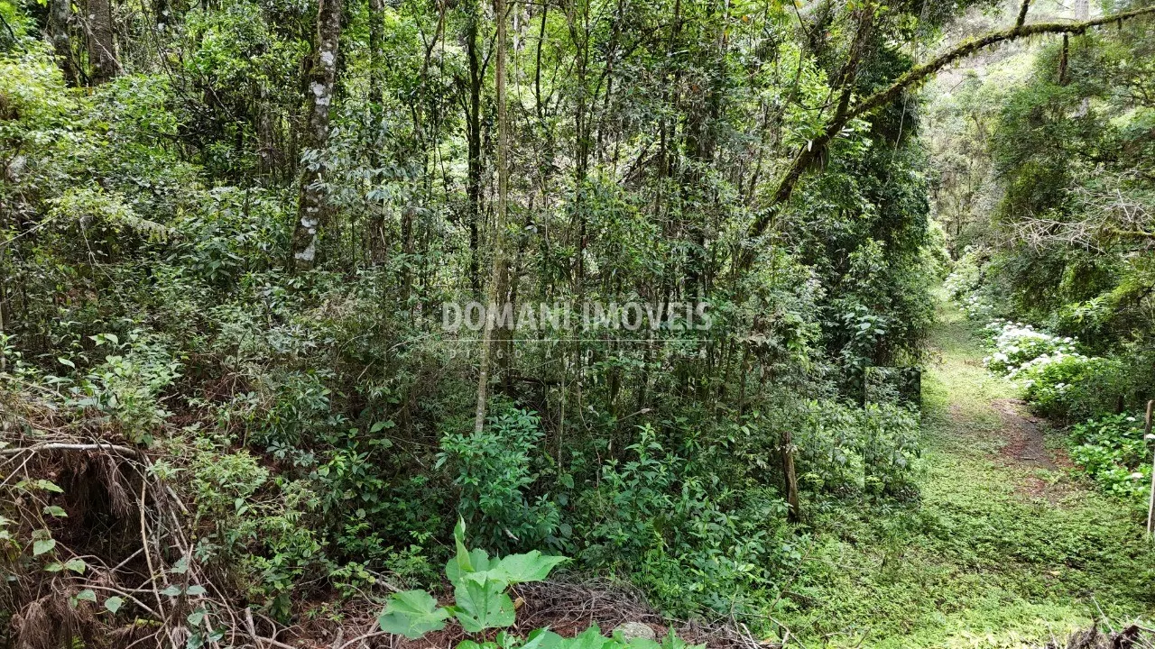 Terreno à venda de 1 ha em Campos do Jordão, SP, Brasil