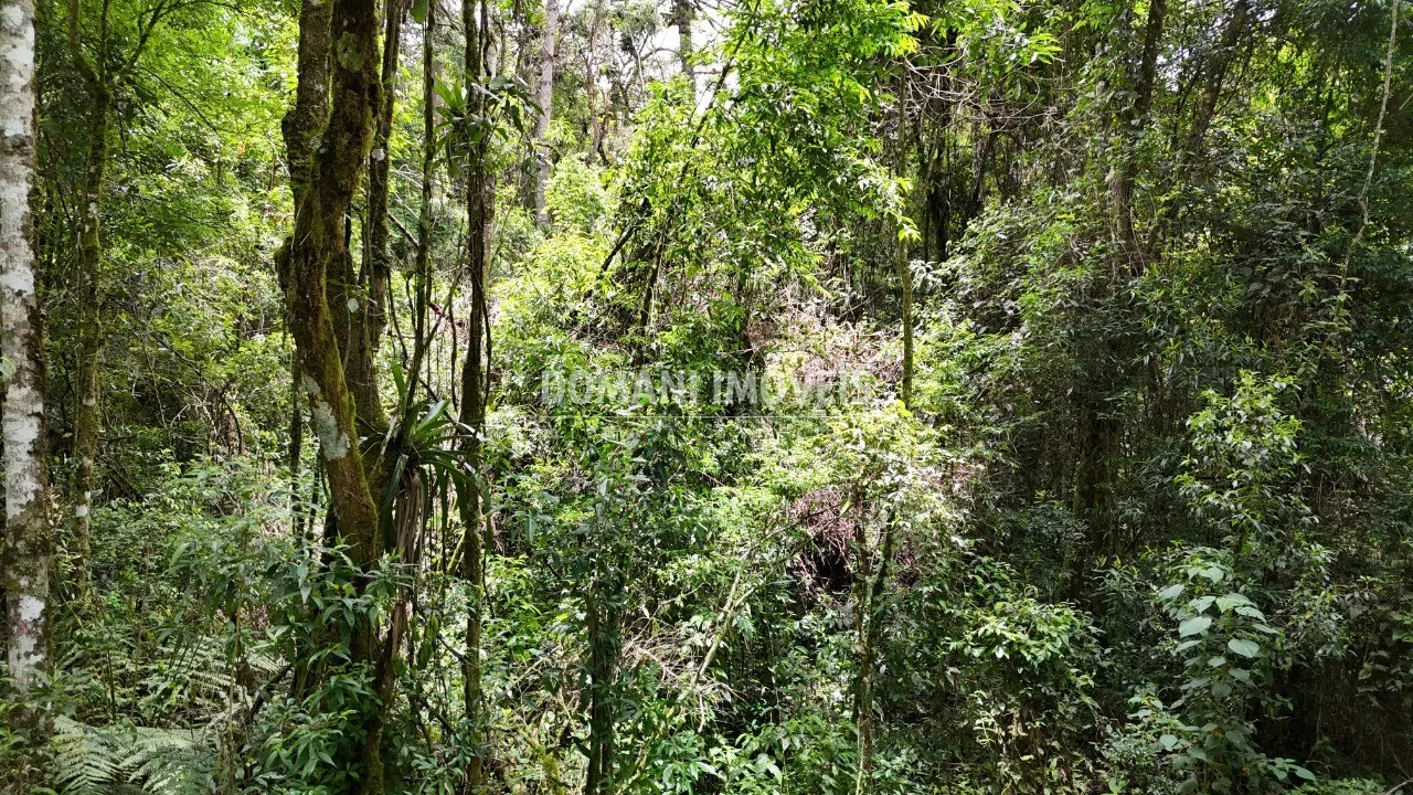 Terreno à venda de 1 ha em Campos do Jordão, SP, Brasil