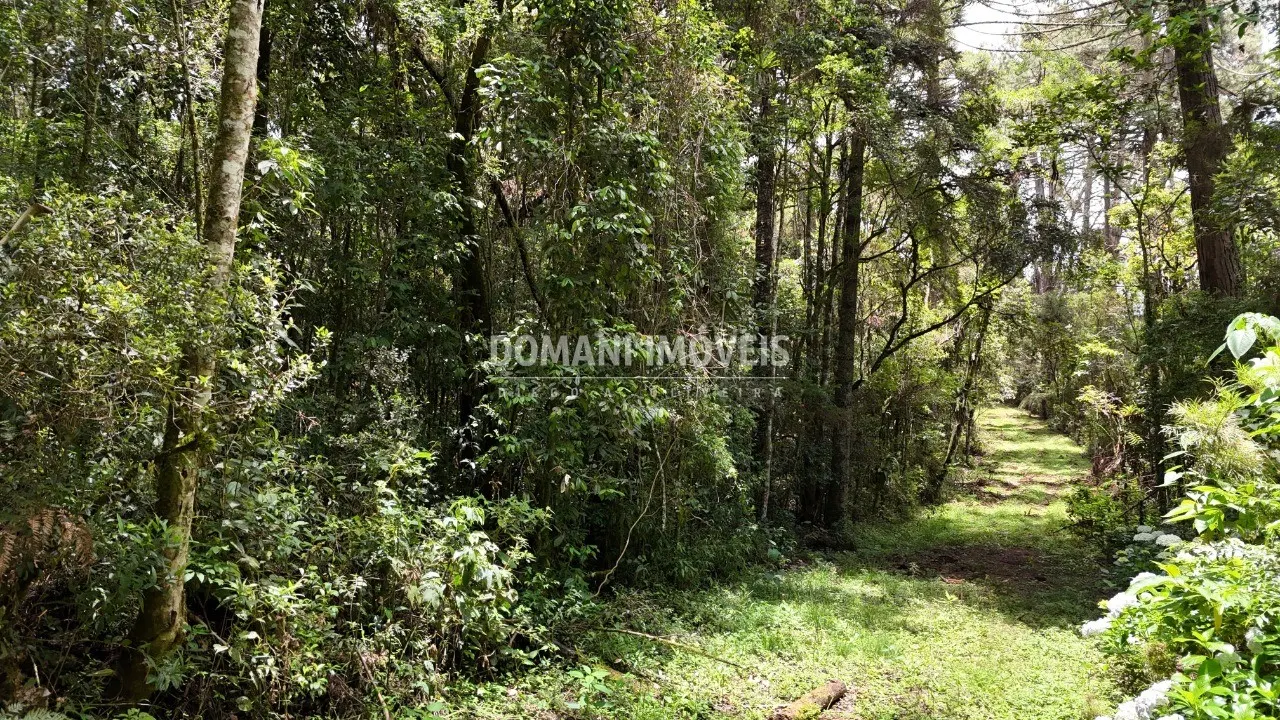 Terreno à venda de 1 ha em Campos do Jordão, SP, Brasil