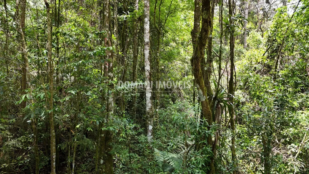 Terreno à venda de 1 ha em Campos do Jordão, SP, Brasil