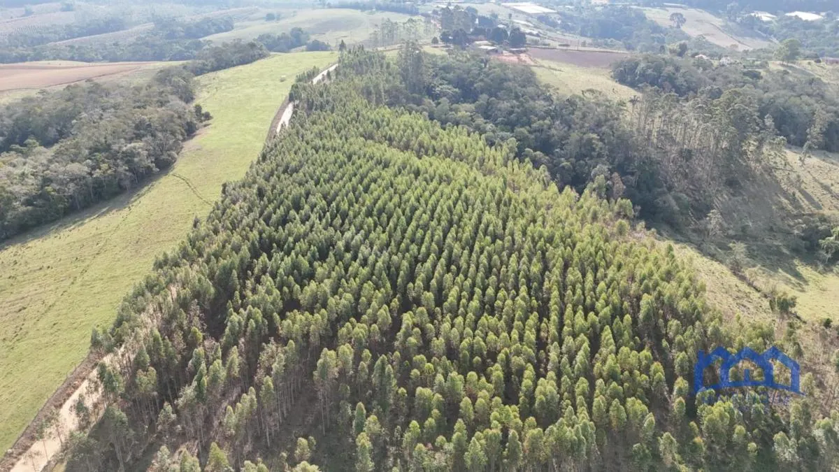 Fazenda à venda de 60 ha em São Miguel Arcanjo, SP, Brasil