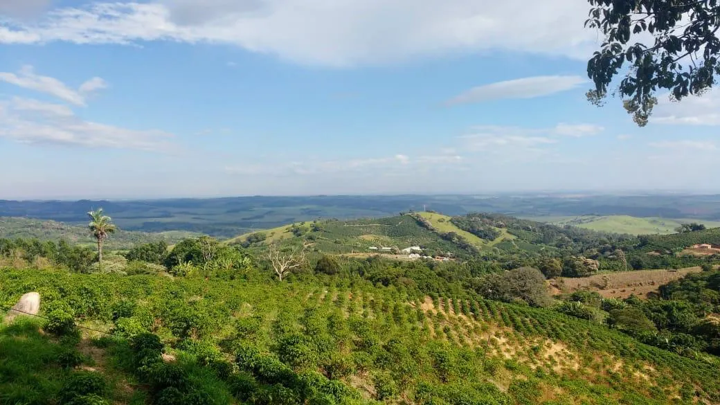 Sítio à venda de 9 ha em Serra Negra, SP, Brasil