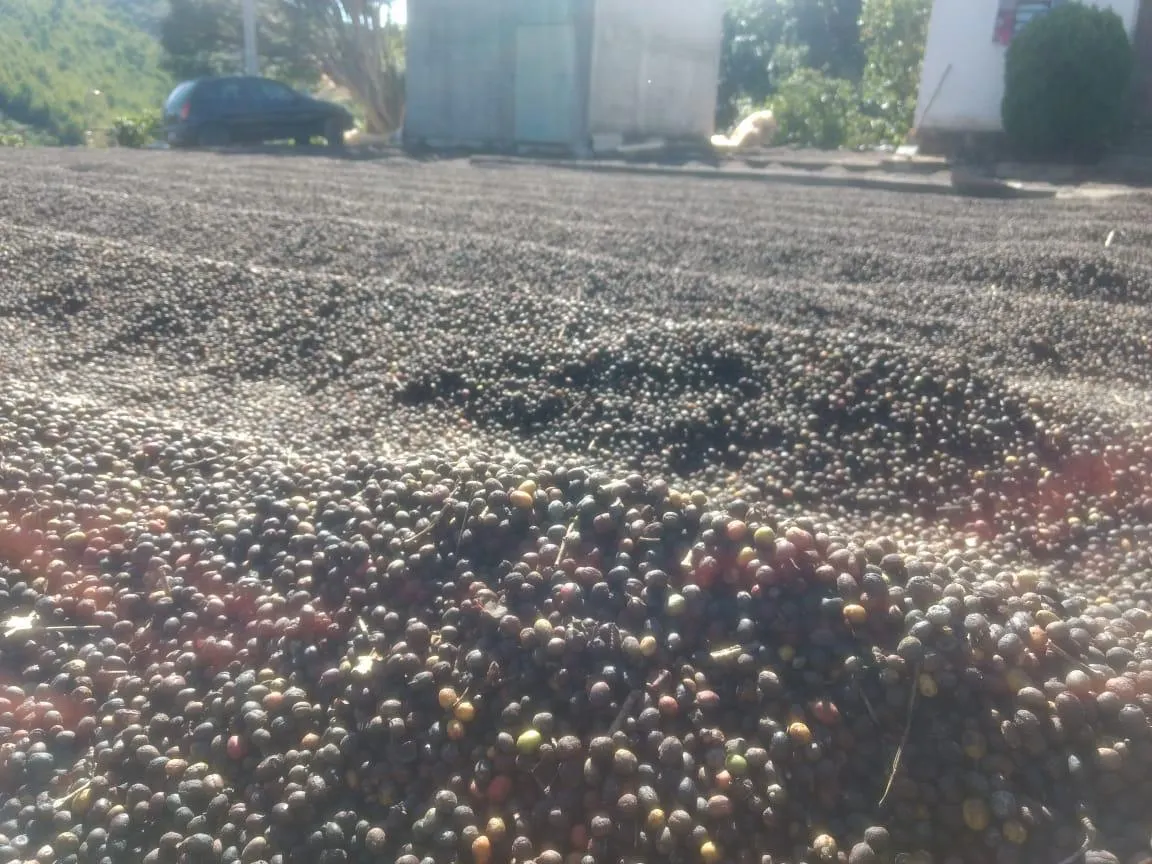 Sítio à venda de 9 ha em Serra Negra, SP, Brasil