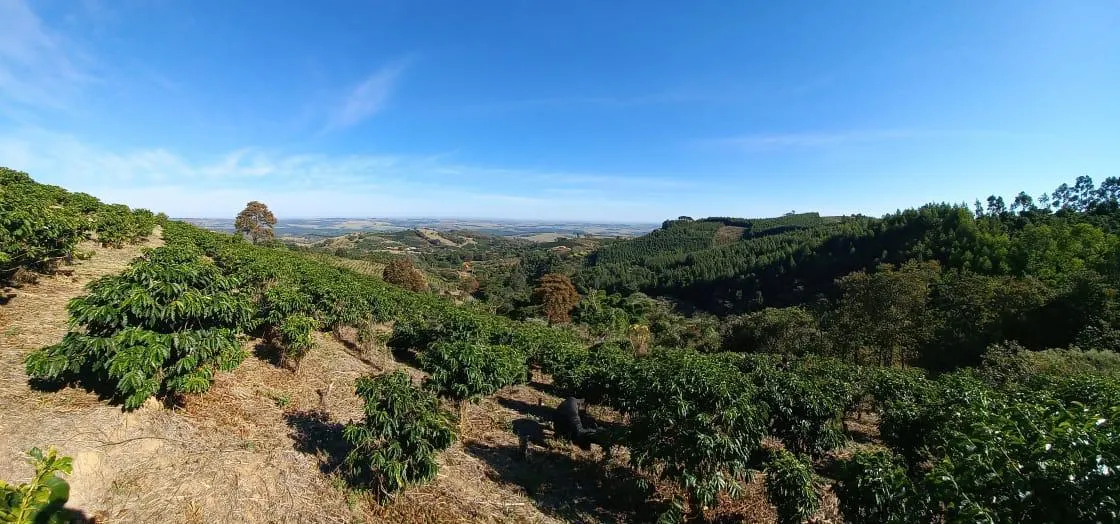 Sítio à venda de 9 ha em Serra Negra, SP, Brasil
