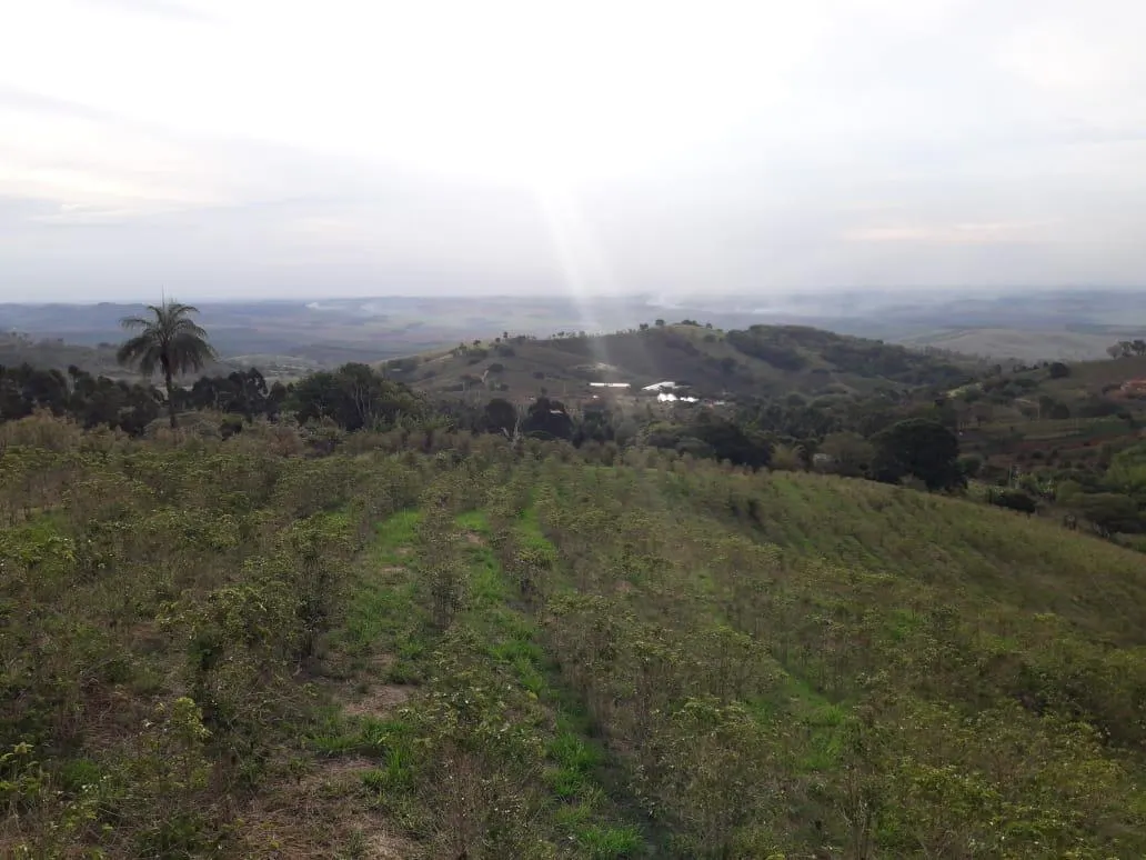 Sítio à venda de 9 ha em Serra Negra, SP, Brasil