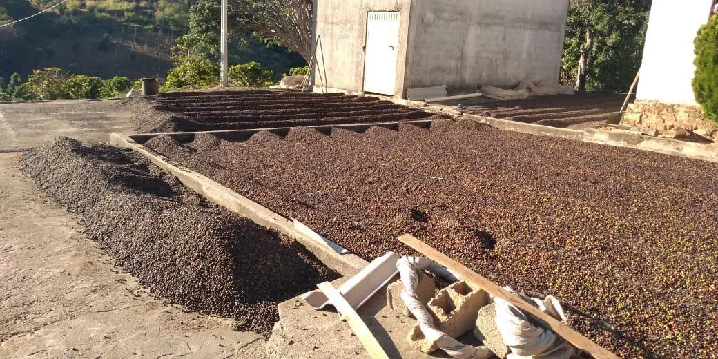 Sítio à venda de 9 ha em Serra Negra, SP, Brasil
