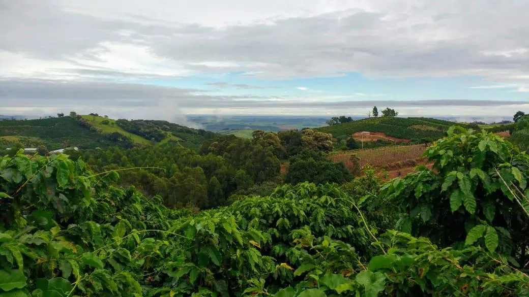Sítio à venda de 9 ha em Serra Negra, SP, Brasil
