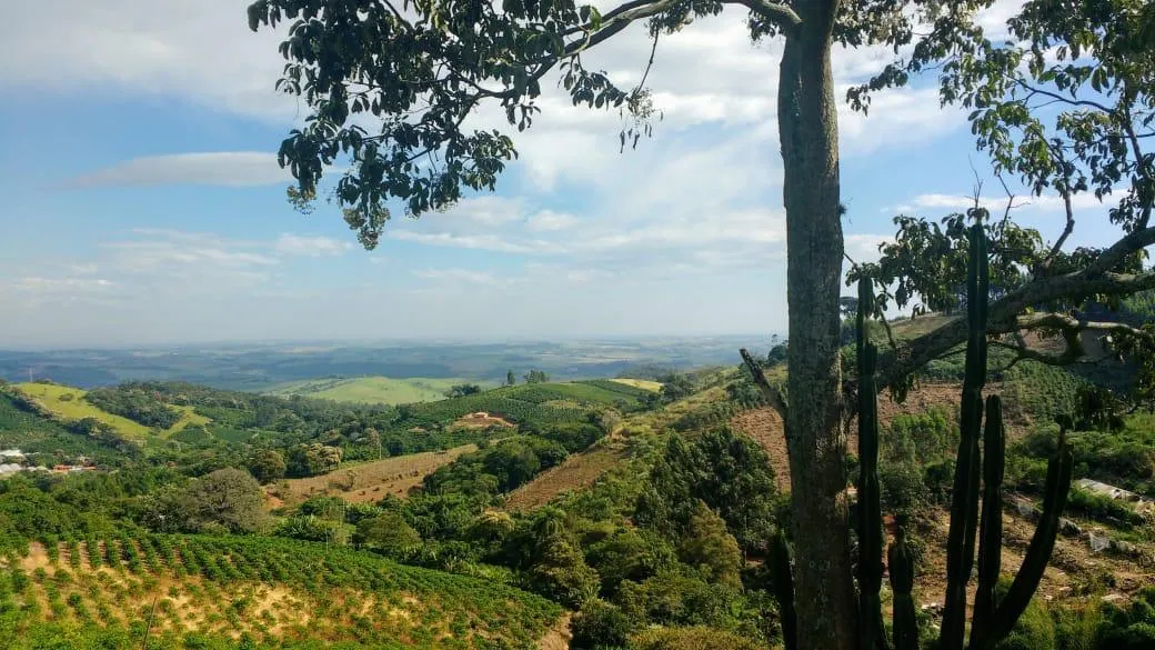Sítio à venda de 9 ha em Serra Negra, SP, Brasil