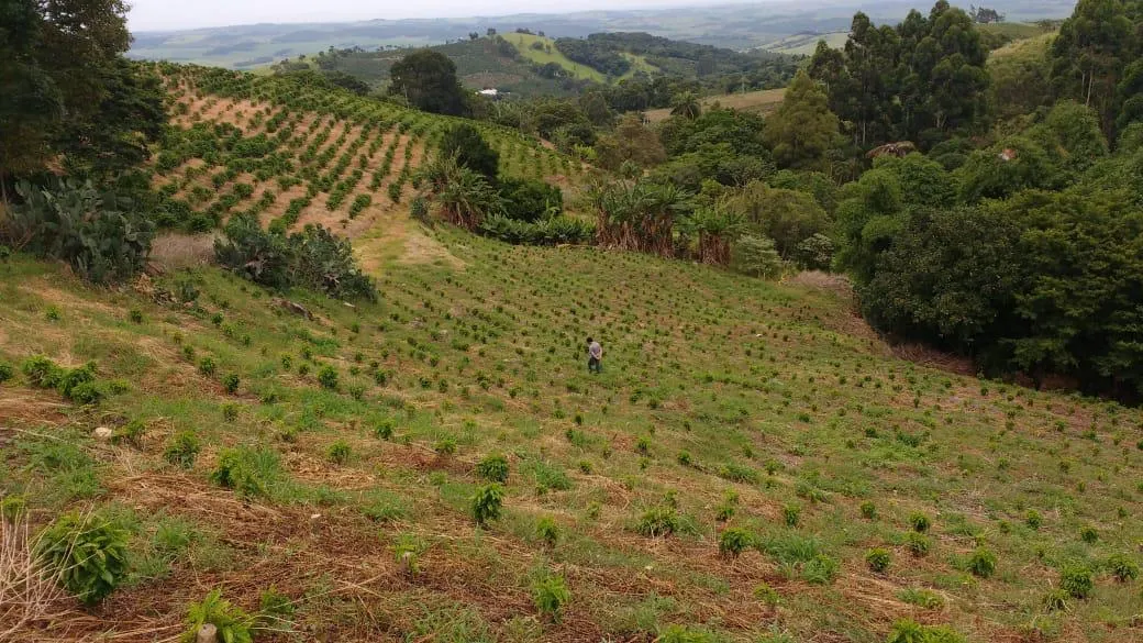 Sítio à venda de 9 ha em Serra Negra, SP, Brasil