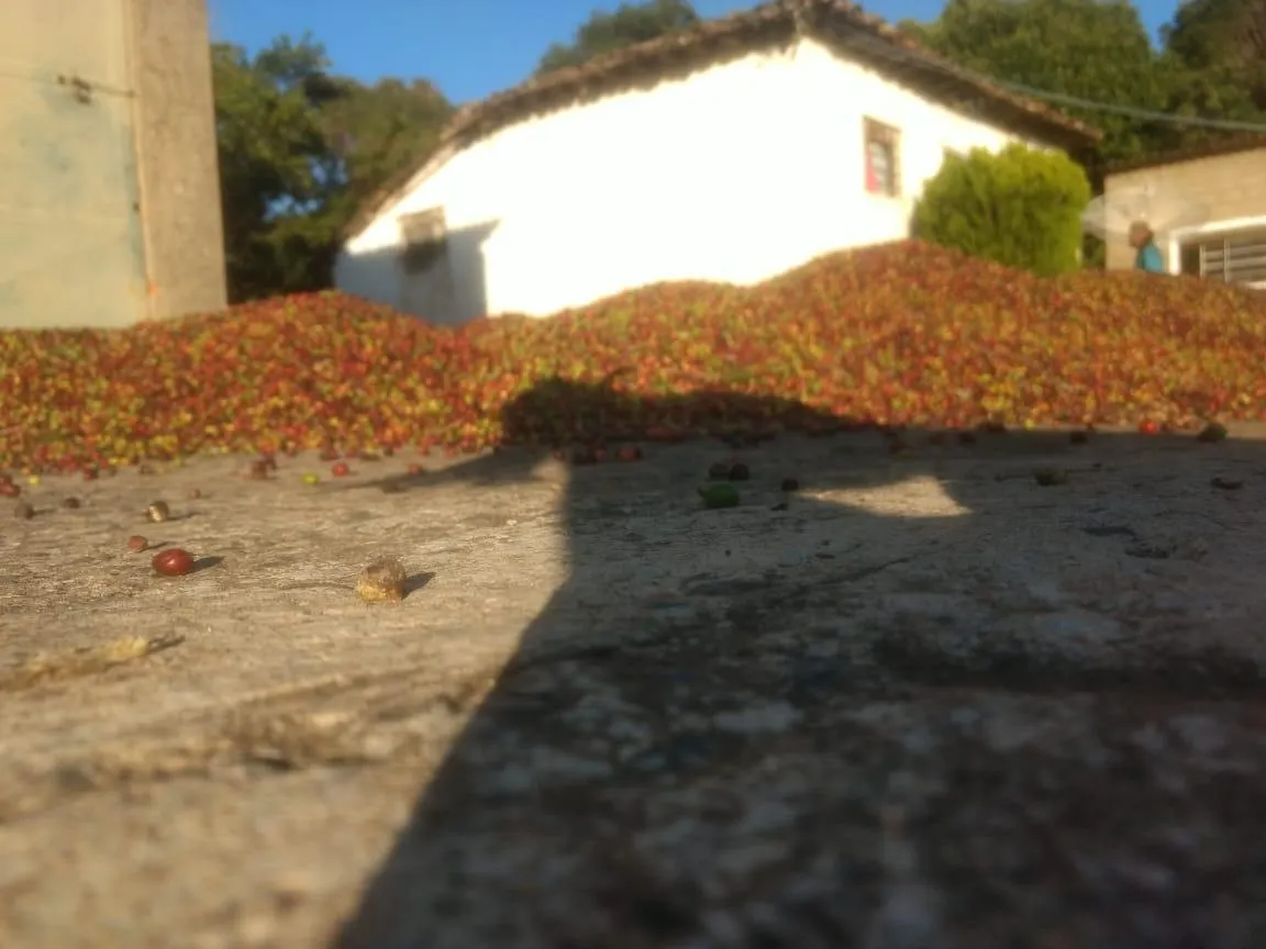 Sítio à venda de 9 ha em Serra Negra, SP, Brasil