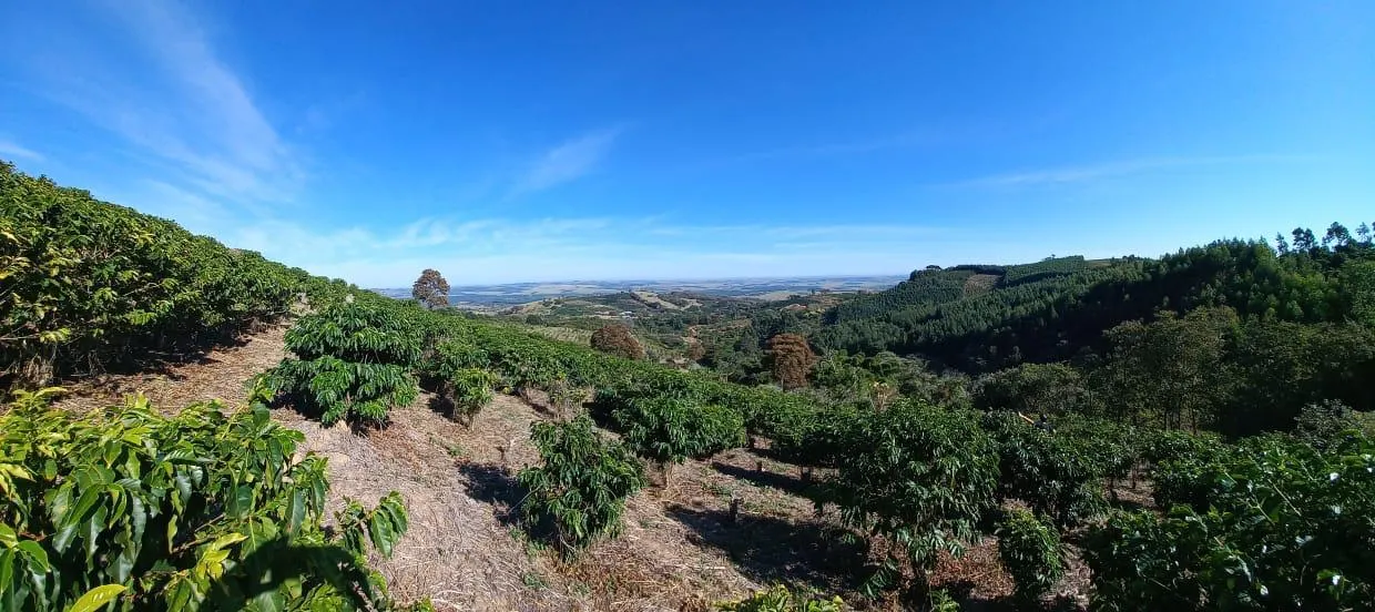 Sítio à venda de 9 ha em Serra Negra, SP, Brasil