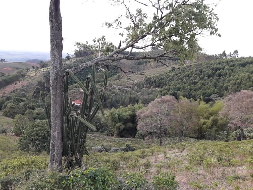 Sítio à venda de 9 ha em Serra Negra, SP, Brasil