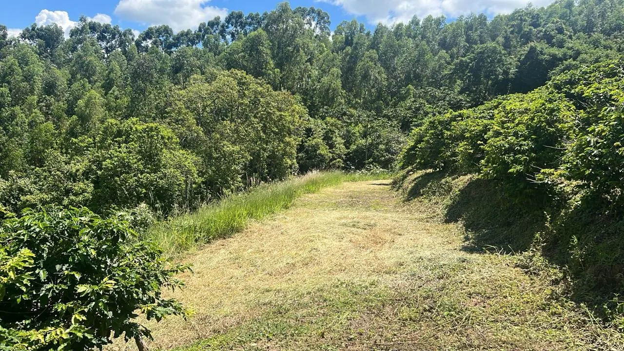 Sítio à venda de 9 ha em Serra Negra, SP, Brasil