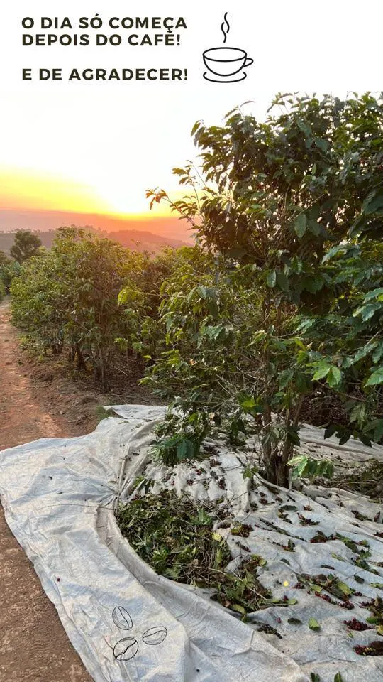 Sítio à venda de 9 ha em Serra Negra, SP, Brasil