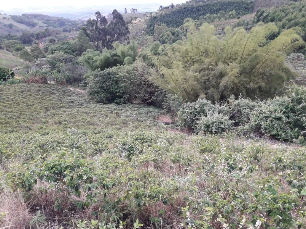 Sítio à venda de 9 ha em Serra Negra, SP, Brasil