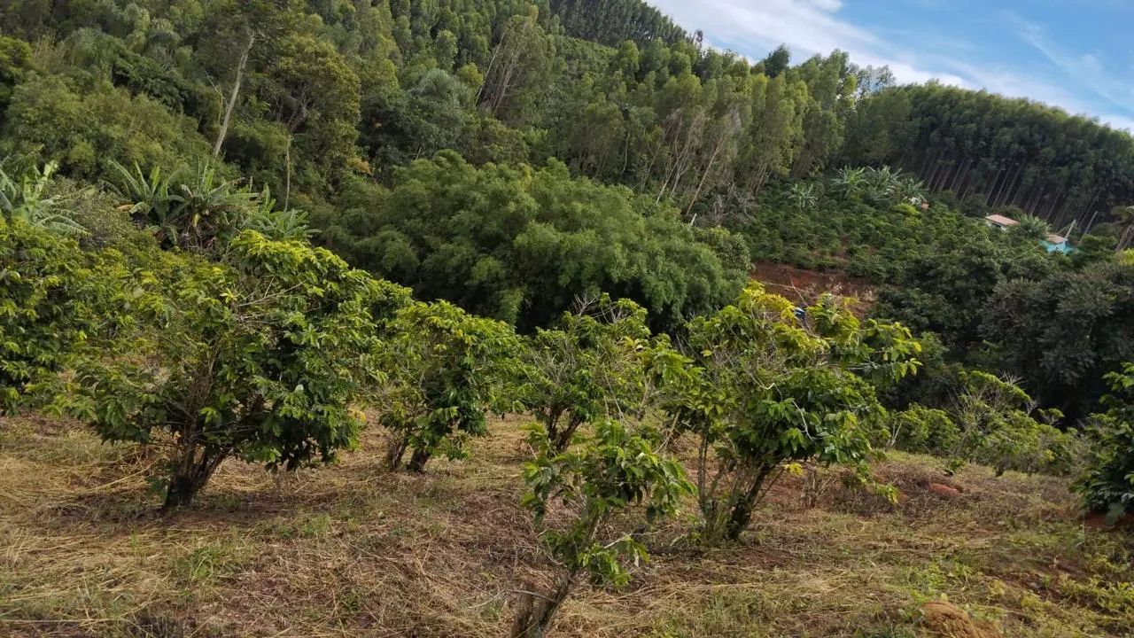 Sítio à venda de 9 ha em Serra Negra, SP, Brasil