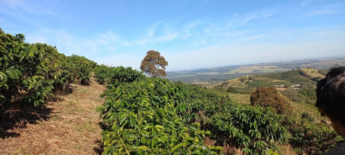 Sítio à venda de 9 ha em Serra Negra, SP, Brasil