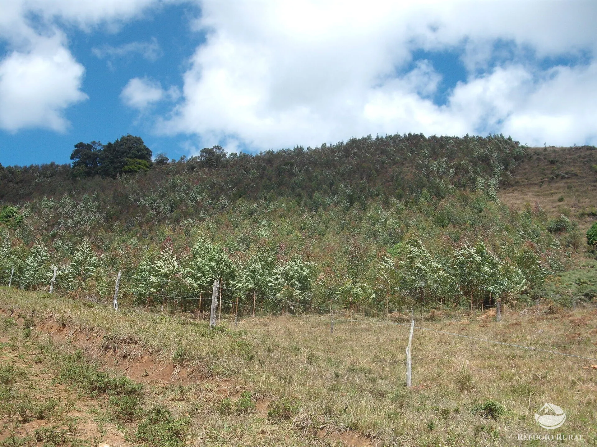 Sítio à venda de 25 ha em Aiuruoca, MG, Brasil