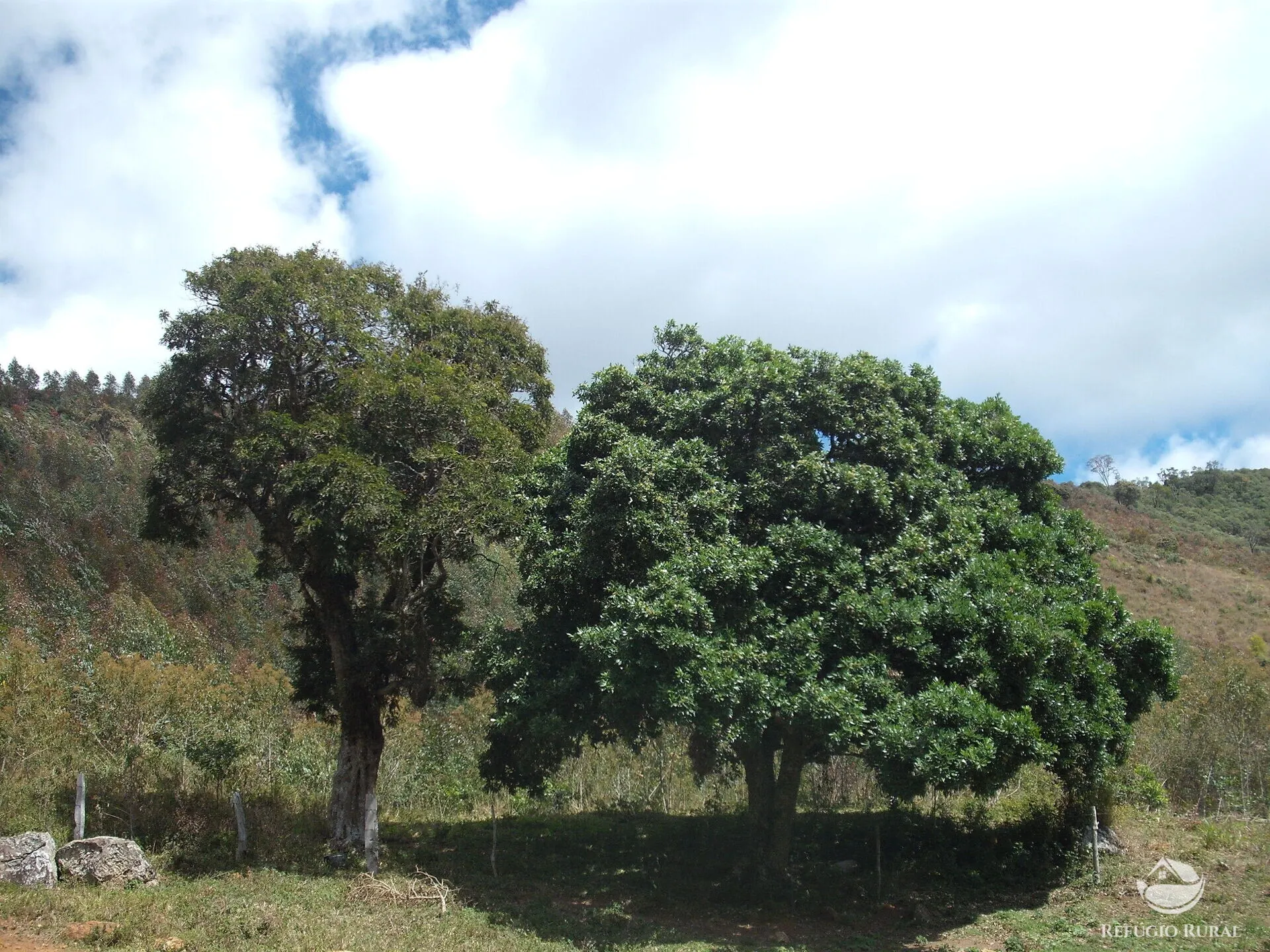 Sítio à venda de 25 ha em Aiuruoca, MG, Brasil