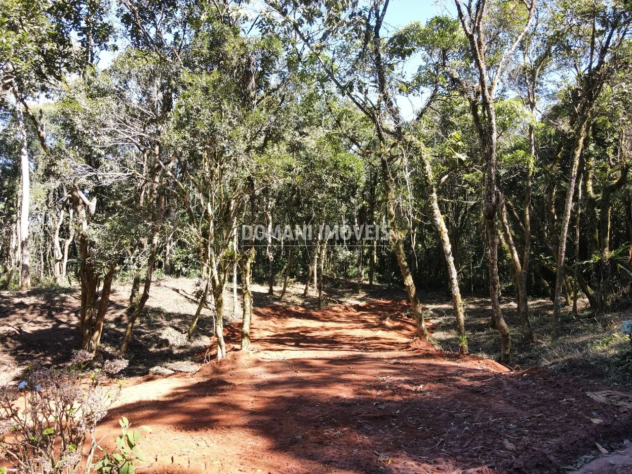 Sítio à venda de 2 ha em Santo Antônio do Pinhal, SP, Brasil