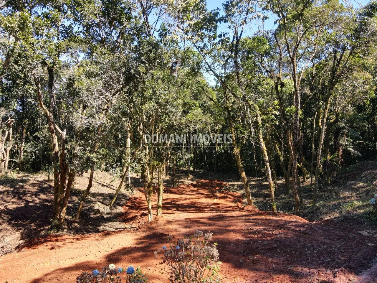 Sítio à venda de 2 ha em Santo Antônio do Pinhal, SP, Brasil