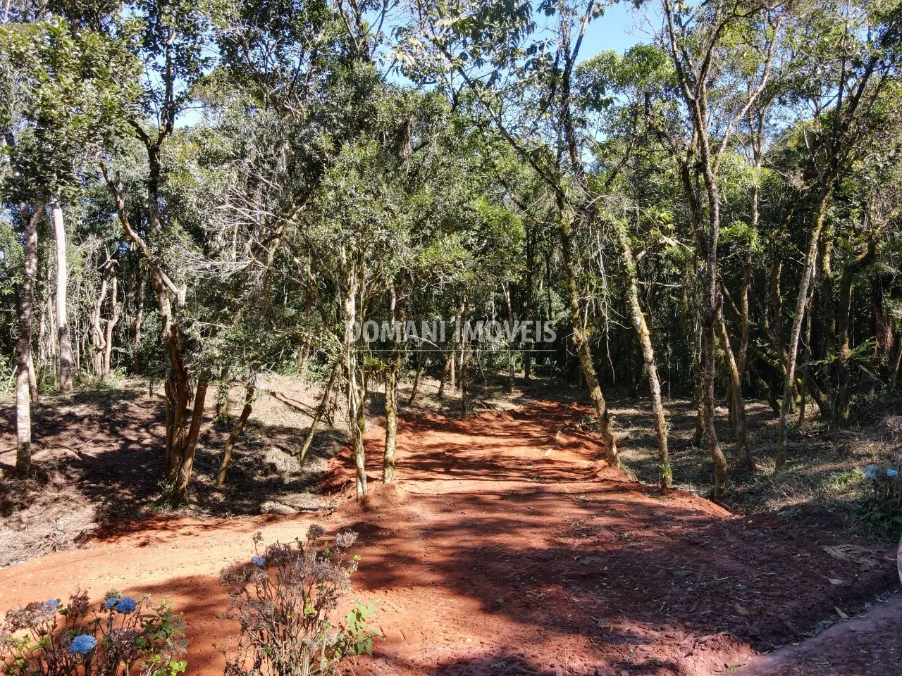 Sítio à venda de 2 ha em Santo Antônio do Pinhal, SP, Brasil