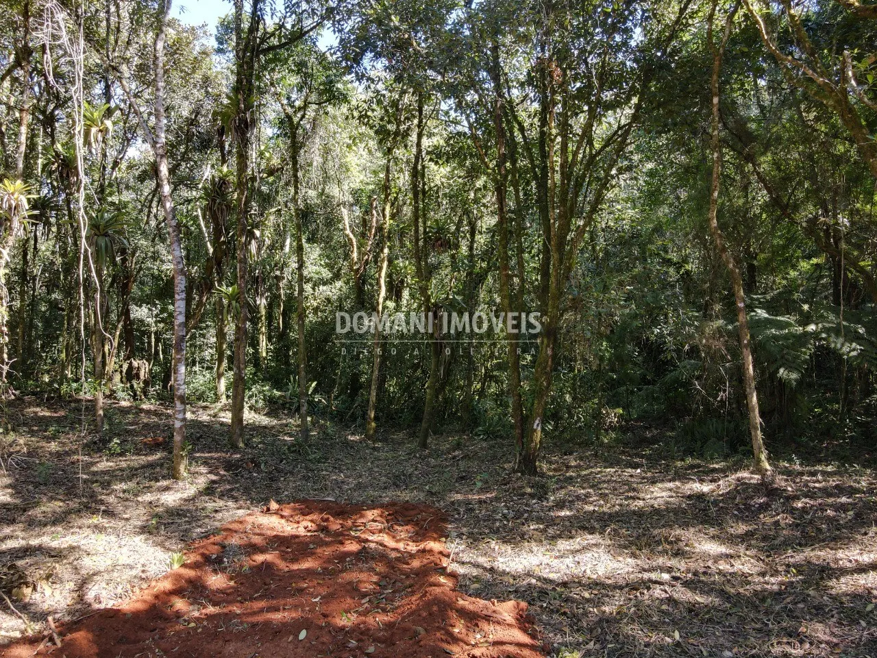 Sítio à venda de 2 ha em Santo Antônio do Pinhal, SP, Brasil