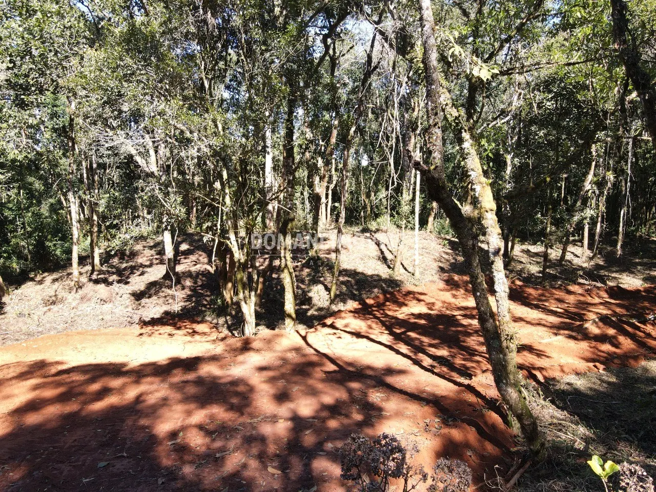 Sítio à venda de 2 ha em Santo Antônio do Pinhal, SP, Brasil