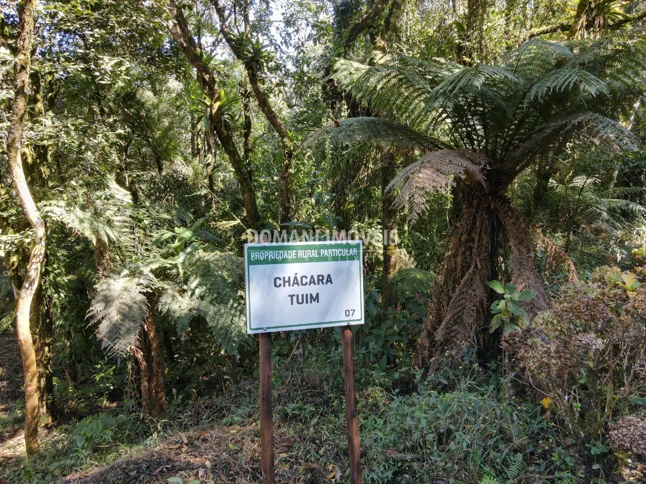 Sítio à venda de 2 ha em Santo Antônio do Pinhal, SP, Brasil