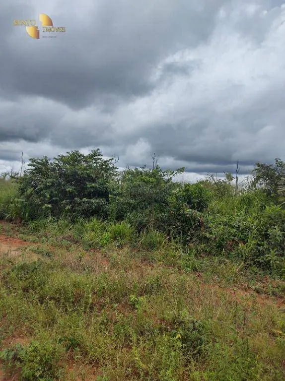 Fazenda à venda de 4.000 ha em Confresa, MT, Brasil